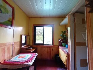 grandmas yellow house