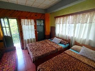 grandmas yellow house