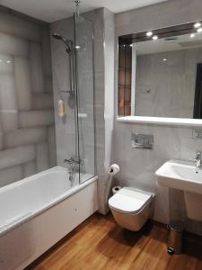 the old borough by wetherspoon