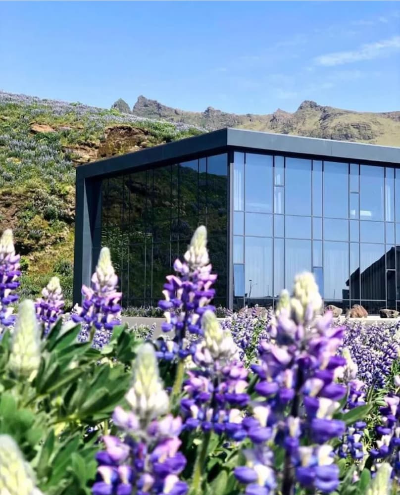vik apartments