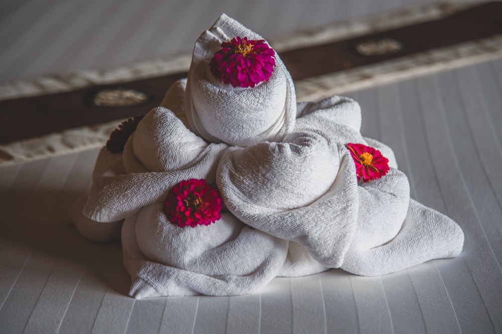 hanchey bamboo resort