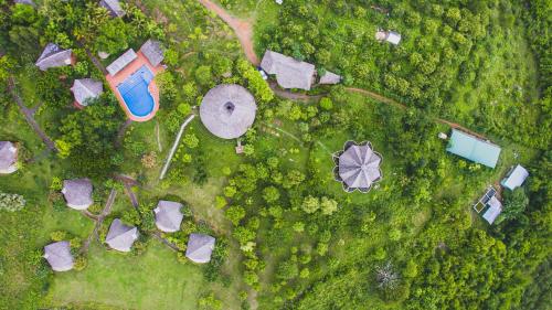 hanchey bamboo resort