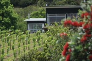 riverside matakana hotel