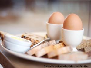 ibis jeddah malik road