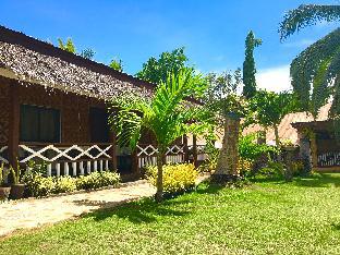 bohol sea breeze cottages and resort