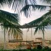life resort st thomas royal palm