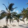 watamu
