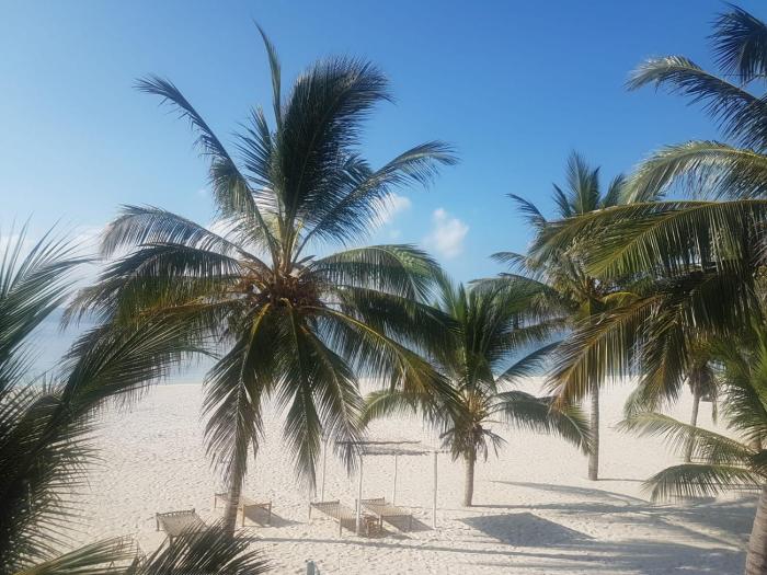 watamu