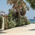 glaronissi beach