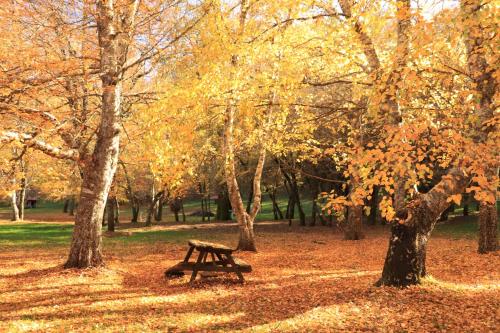 oliveira do hospital