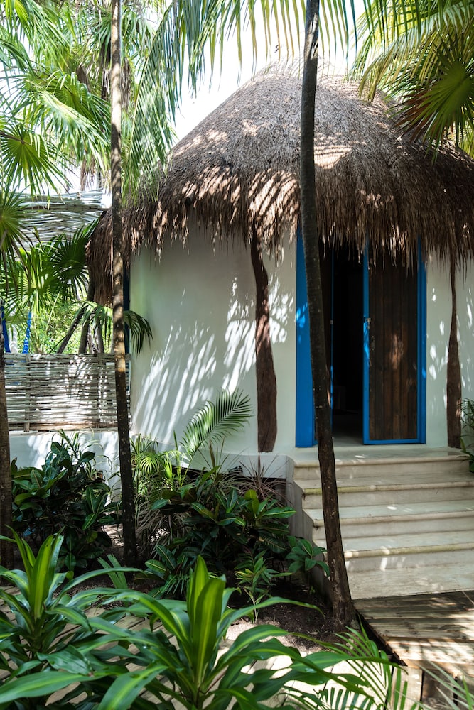cormoran boutique hotel and cenote tulum