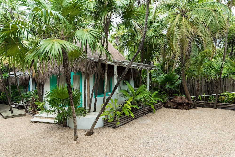 cormoran boutique hotel and cenote tulum