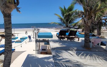 cormoran boutique hotel and cenote tulum