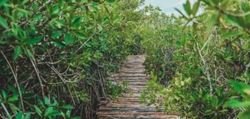 cormoran boutique hotel and cenote tulum