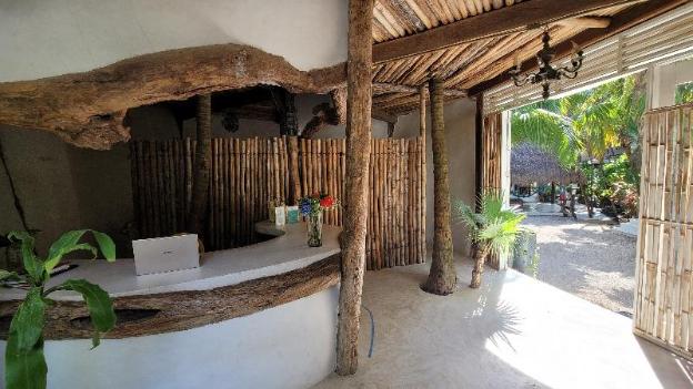 cormoran boutique hotel and cenote tulum