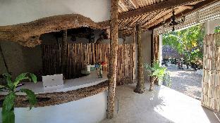 cormoran boutique hotel and cenote tulum