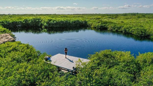 cormoran boutique hotel and cenote tulum