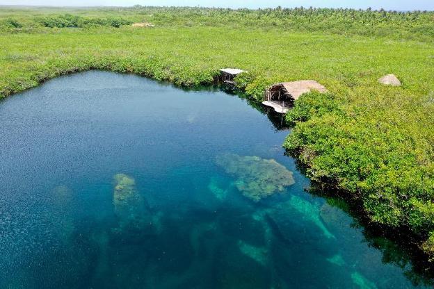 cormoran boutique hotel and cenote tulum