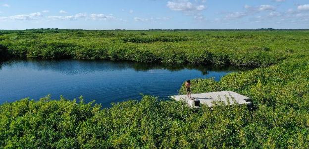 cormoran boutique hotel and cenote tulum