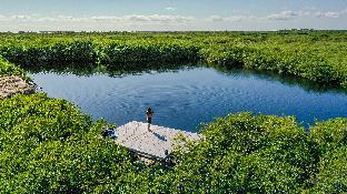 Cormoran Boutique Hotel & Cenote Tulum,Quintana Roo>>Cozumel,3.5 star