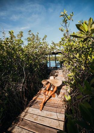 cormoran boutique hotel and cenote tulum