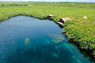 cormoran boutique hotel and cenote tulum