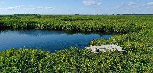 cormoran boutique hotel and cenote tulum