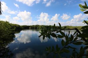 cormoran boutique hotel and cenote tulum