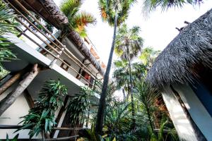 cormoran boutique hotel and cenote tulum
