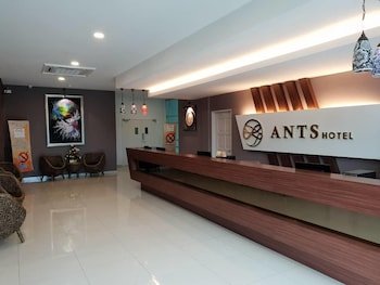 ants hotel