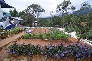 kundasang