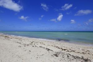 castle beach club condominiums by new point miami