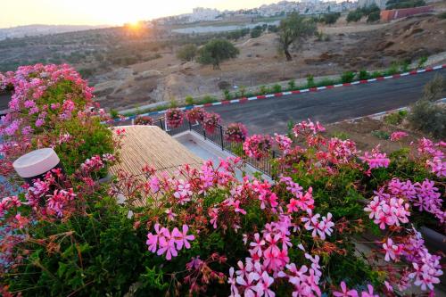 tantur hills hotel jerusalem