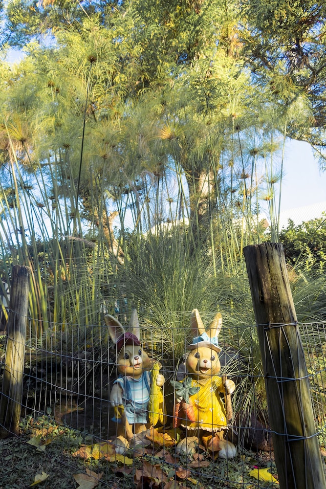 pousada dos platanos