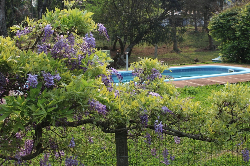 pousada dos platanos