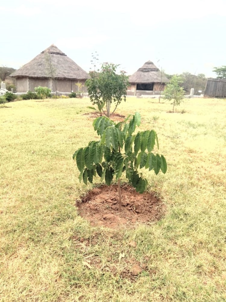 equator green gardens and resort