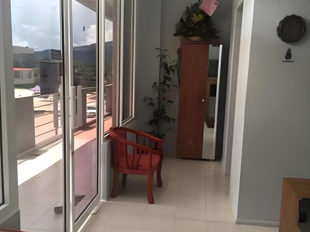 kinabalu national park