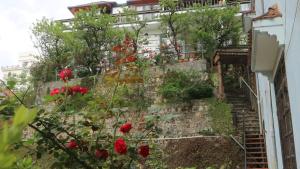 sapa cloudy mountain hostel