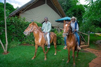 Cranes Haven,,3 star