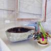 chunyang homestay