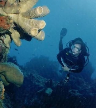 Flamingo Hotel,Riviera Maya>>Cozumel,3 star