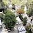 les jardins du faubourg hotel and spa by shiseido