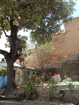 hostel rock and quito