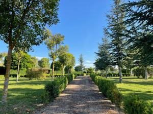 casalarreina