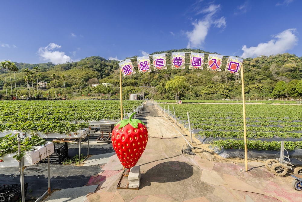 quan ming line museum
