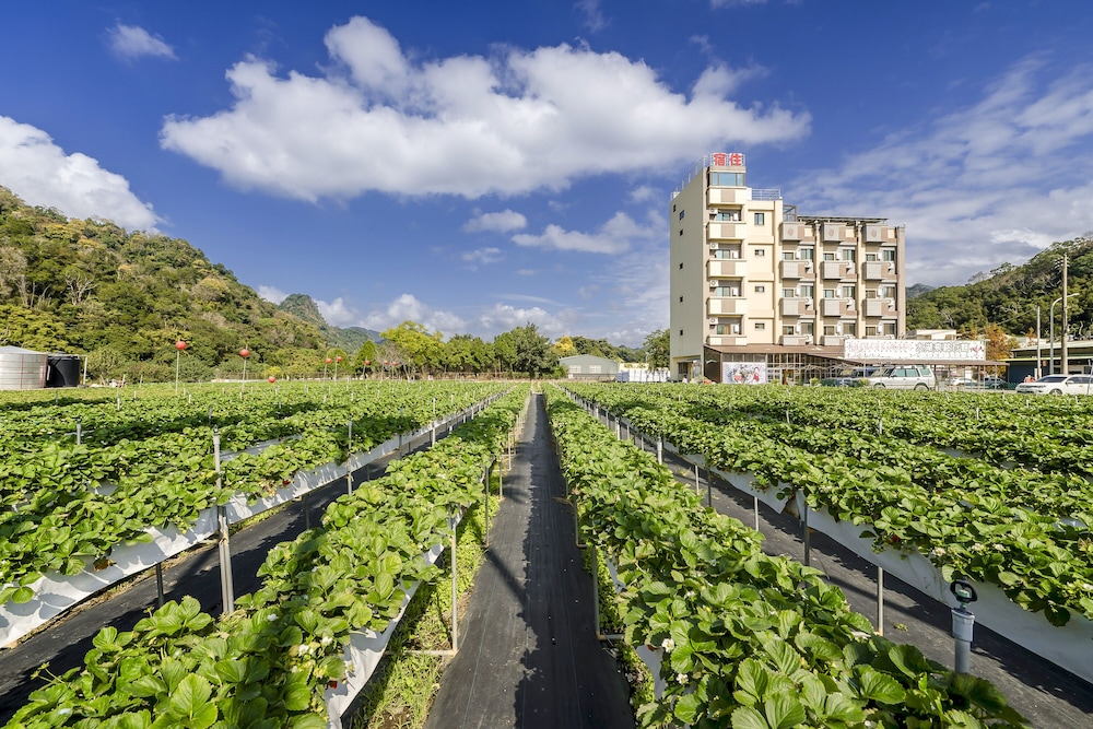 quan ming line museum