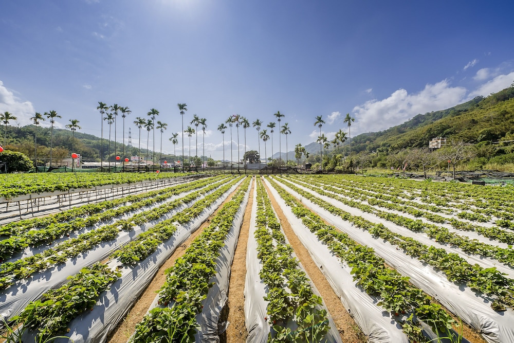 quan ming line museum