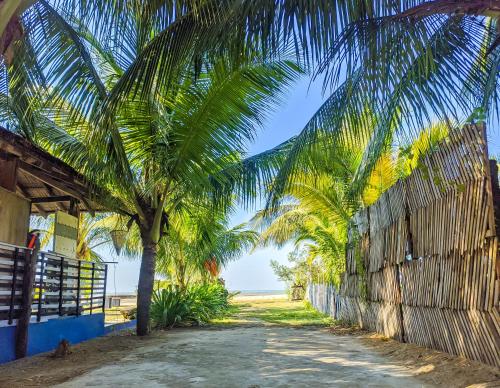 mermaid beach resort