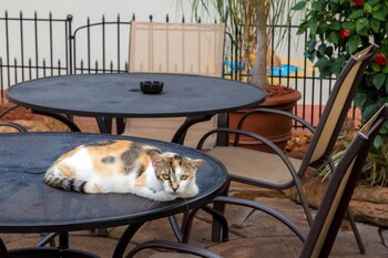 richards pet friendly motel