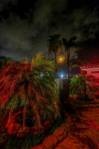 richards pet friendly motel